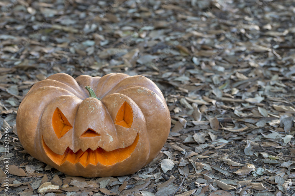 orange halloween pumpkin with notch, crushable orange halloween pumpkin with notch, crushable