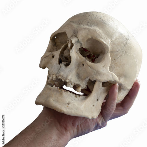 Human skull in human hand, close-up, isolated on white. Alas, poor Yorick