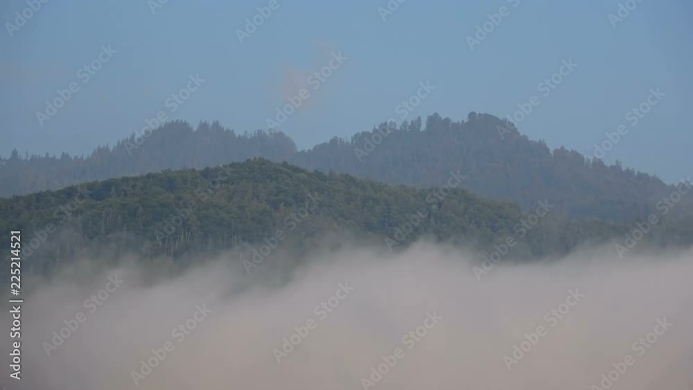 Bergwald mit Wolken