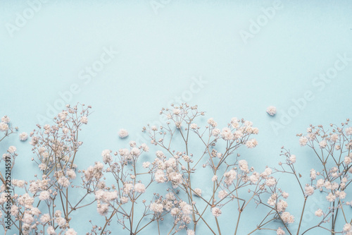 Light Blue Floral Background Border With White Gypsophila Flowers Baby S Breath Flowers On Pastel Blue Desktop Flat Lay Spring And Summer Stock Photo Adobe Stock