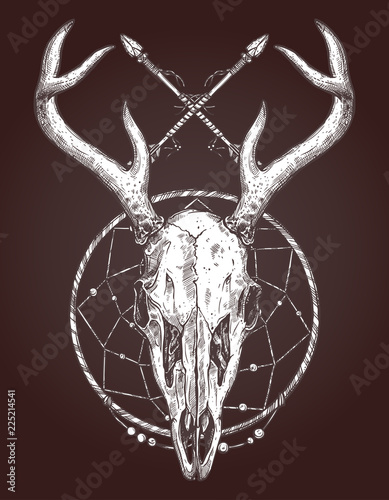 Sketch Of Deer Skull With Dreamcatcher And Indian Arrows. Boho Hand Drawn Illustration