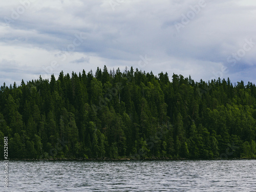 Beautiful trees on the lake in Russia,Karelia