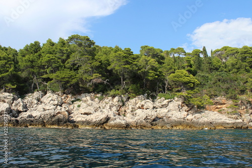 Natura selvaggia in riva al mare - incontaminato photo