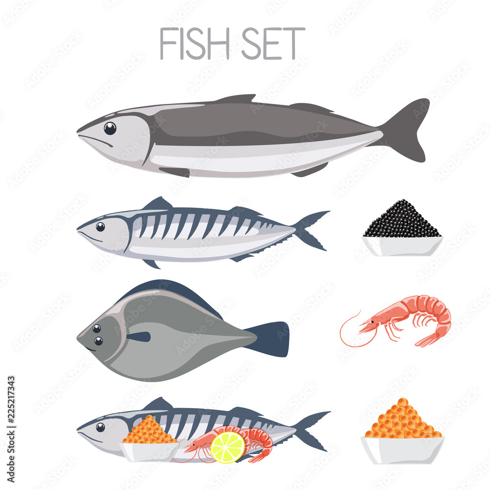 fish set meat fresh delicious ecological