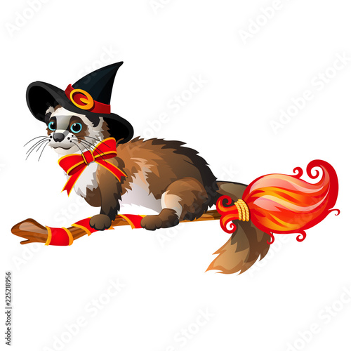 Cute fluffy ferret in the black witch hat flying on a broom isolated on white background. Sketch for poster or card for the holiday of all evil spirits Halloween. Vector cartoon close-up illustration.