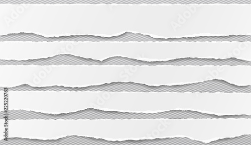 Set of white horizontal ripped paper strips, torn note paper for text or message on gray squared background