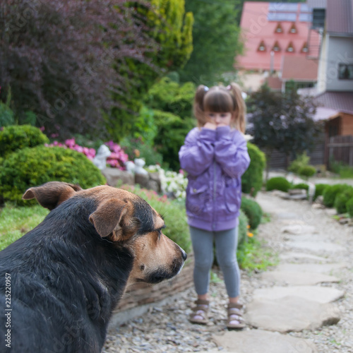 Little girl is scared by a dog. 