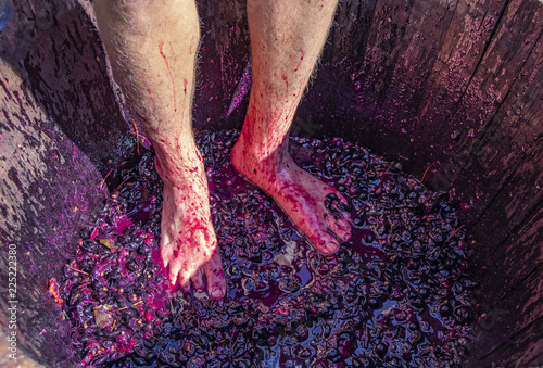 Stomping grapes - man's feet with hairy legs in wooden barrel with smushed up grapes