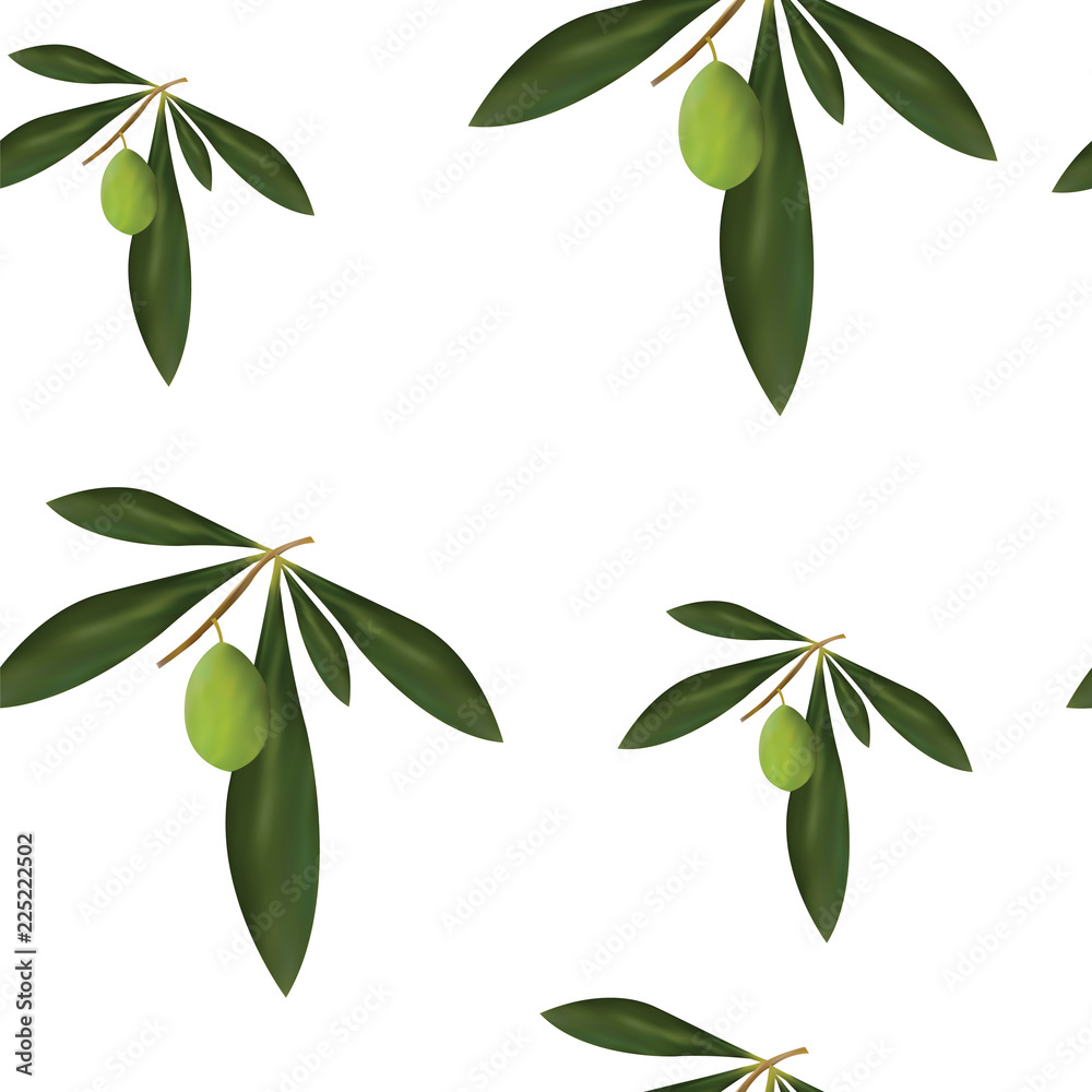 seamless pattern with green olive tree vector - floral pattern - white background
seamless pattern with green olive tree vector - floral pattern - white background
