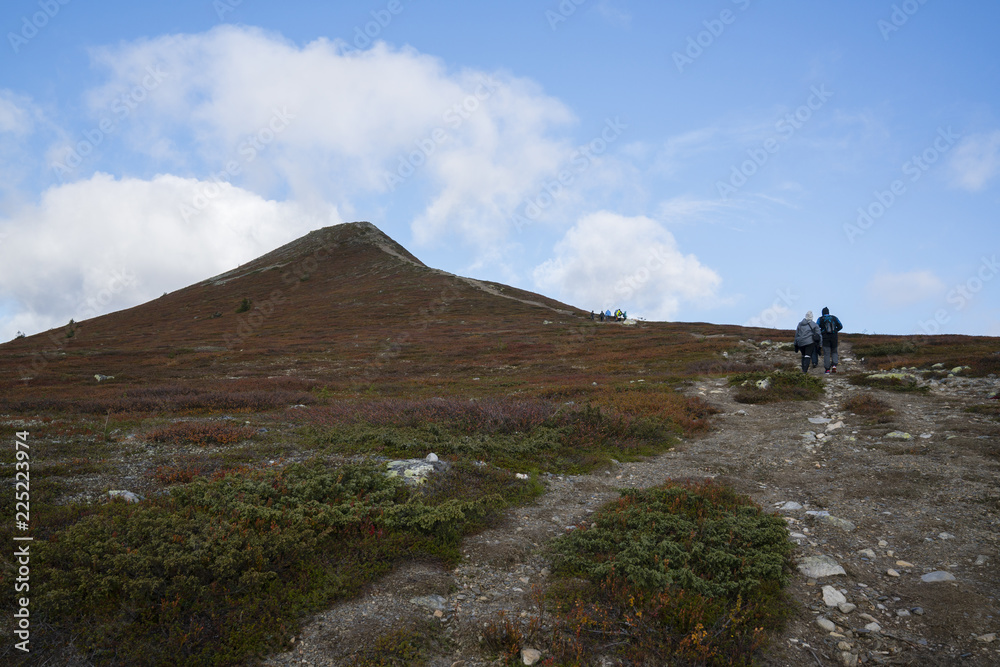 Hiking