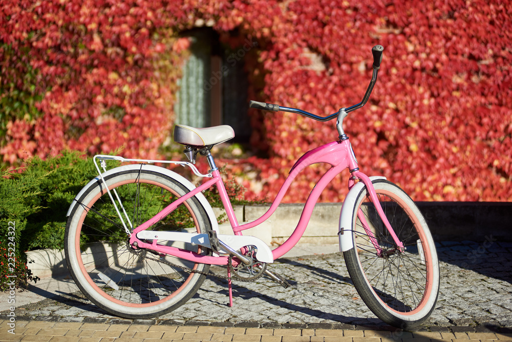 Modern comfortable pink lady bicycle on sunny pavement on background of green lawn and house wall with small window fully overgrown with bright red ivy leaves. Transport and traveling concept.