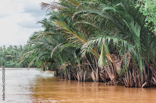 Muddy tropical waters surrounded by lush mangroves. Traditional boat ride along the canals through the Mekong River Delta in Vietnam. Suitable for backgrounds  copy space.