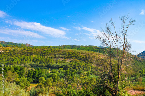 Fototapeta Naklejka Na Ścianę i Meble -  Landscape view on the South France hills on a sunny day.