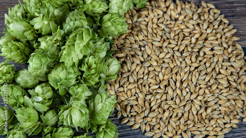 Hopfen und Malz Draufsicht