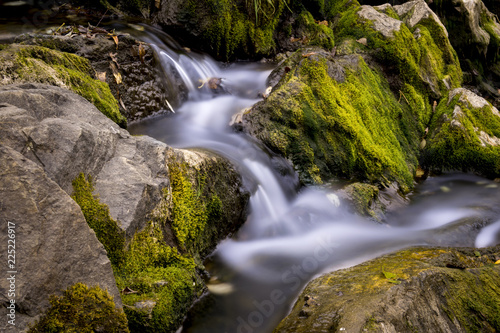 waterfall in forest