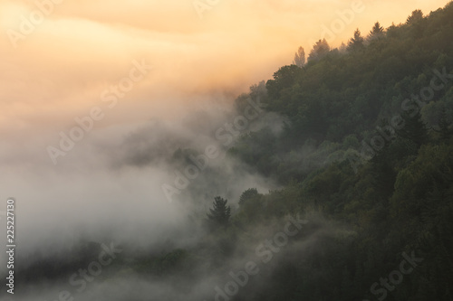 Fog over beech forest in Aramaio, Alava photo