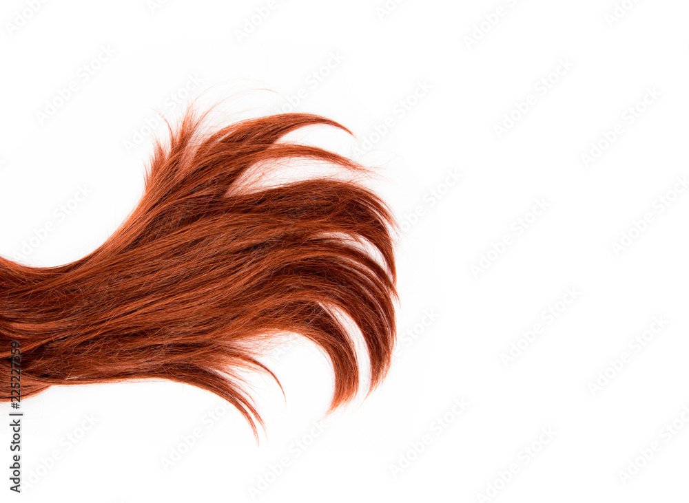 Studio set of lush burgundy red hair tips strands isolated on white  background with copy space. Hair products background design element  concept. Stock Photo | Adobe Stock