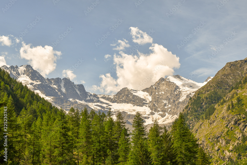 Panorama con cime innevate e foreste di pini in estate con cielo blu con nubi, Valle d'Aosta, Alpi Italiane
