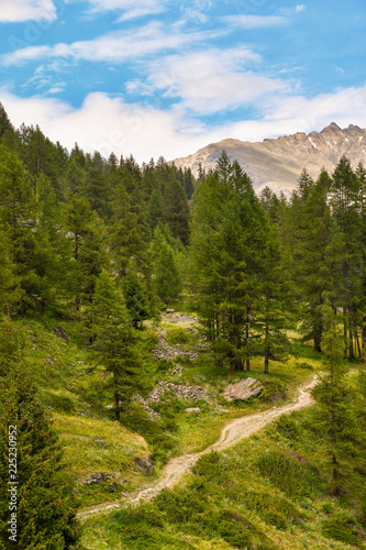 Veduta dall'alto di un sentiero in una foresta di montagna con cime rocciose sullo sfondo e cielo sereno in estate, Valle d'Aosta, Alpi Italiane