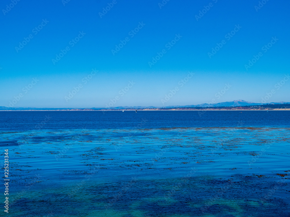 Tropical blue water, clear skies with floating seaweed and sailboats in the horizon