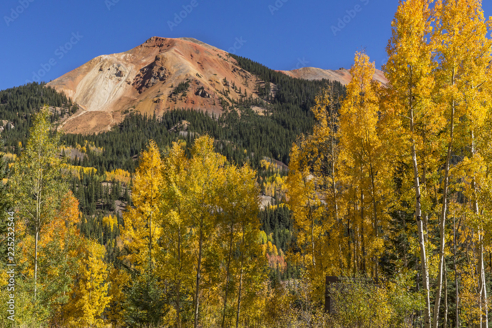 Red Mountains and Golden Aspens