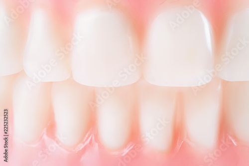 Clean white false teeth close up.