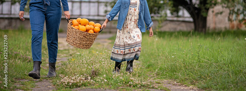 Fototapeta Naklejka Na Ścianę i Meble -  Girls with oranges in the Orange Orchard. Beautiful sisters with Organic Orange in the Garden. Harvest Concept. Garden, teenagers eating fruits at fall harvest.