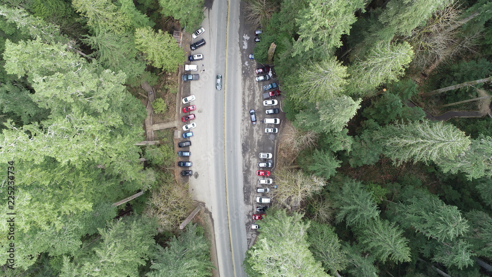 Fototapeta premium top view of green pine tree forest and road with cars