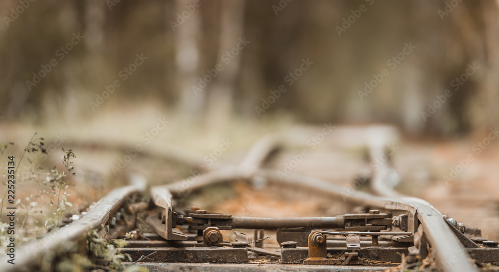 Narrow gauge railway leading through a forest. Narrow railroad riding through colorful birch alley in autumn colors. Authentic Soviet time train with impressive locomotive. Narrow gauge railway leading through a forest. Narrow railroad riding through colorful birch alley in autumn colors. Authentic Soviet time train with impressive locomotive.
