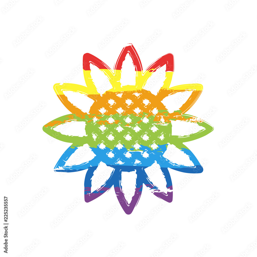 Sunflower, plant. Nature icon. Drawing sign with LGBT style, seven colors of rainbow (red, orange, yellow, green, blue, indigo, violet