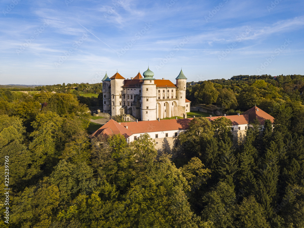 The 14th century castle in Nowy Wisnicz