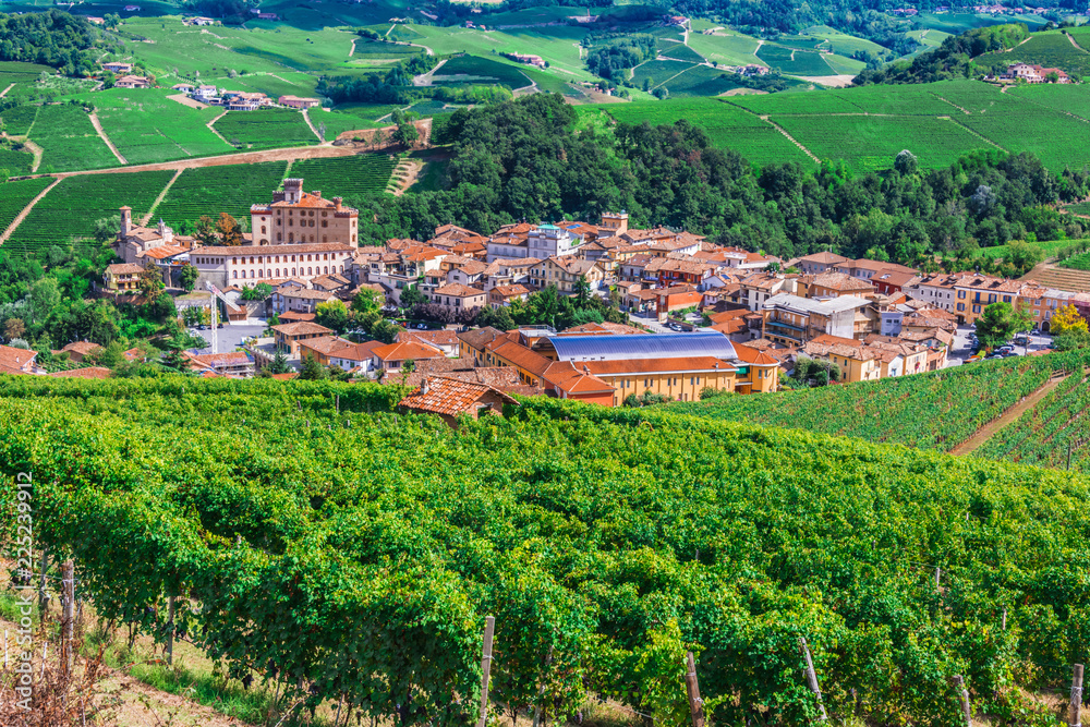 View of Barolo in the Province of Cuneo, Piedmont, Italy