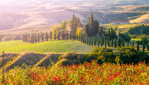 Evening in Tuscany. Hilly Tuscan landscape with cypress trees alley and farm house  Italy.