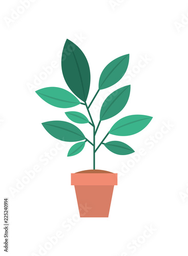 houseplant in pot icon
