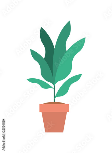 houseplant in pot icon