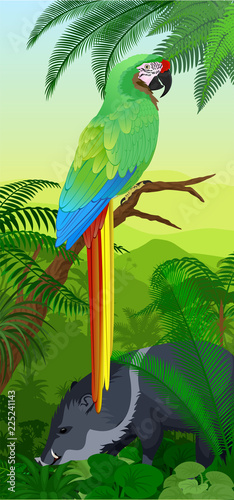 Vector Jungle rainforest vertical baner with parrot green Military Macaw (Ara militaris) and wild pig peccary