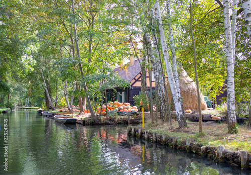 The German Spreewald, canals, boats, vivid plants, and old wooden buildings.  photo