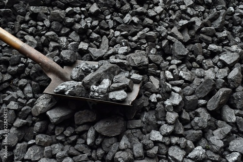 Shovel and coal