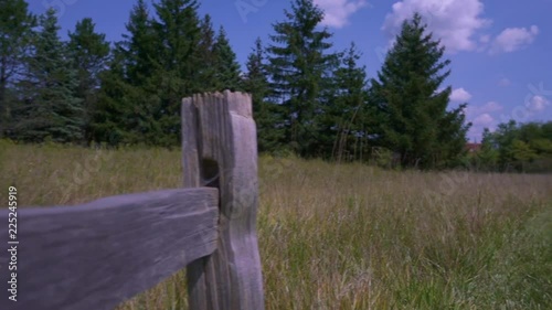 Fence in a Meadow