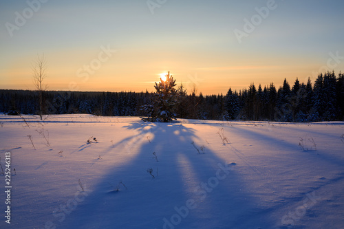 Sunset in the winter forest in the Urals, Russia.