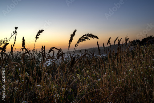 Sunset on the California Coast near Mendocino   