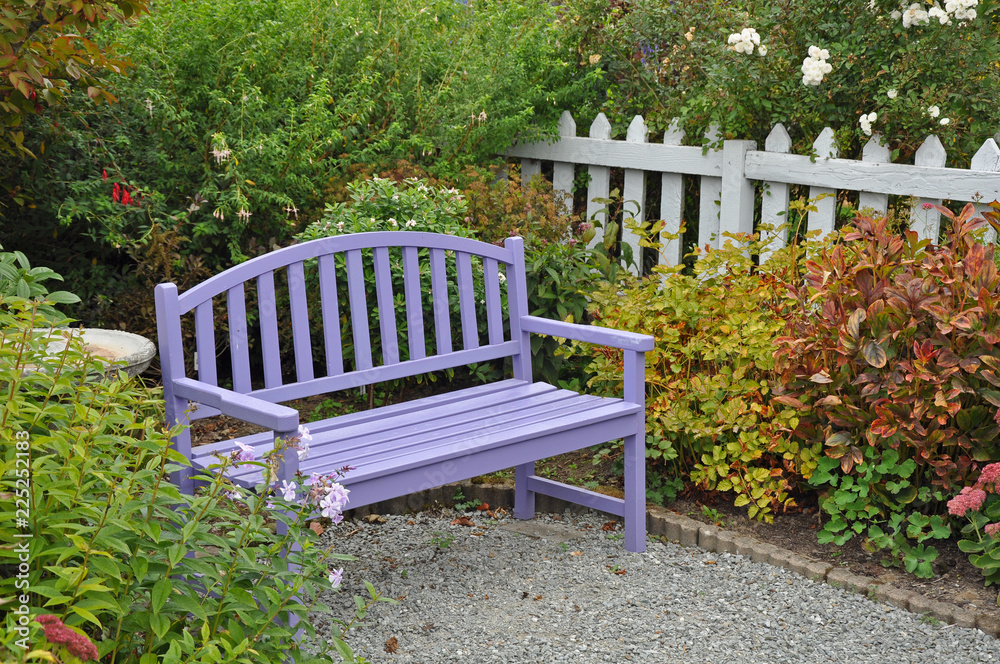 Purple garden bench in yard patio Stock Photo Adobe Stock