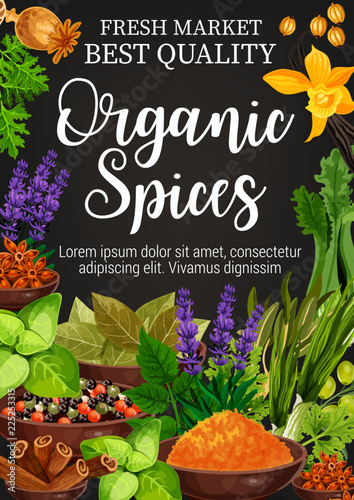 Vector poster of spices and herbs seasonings
