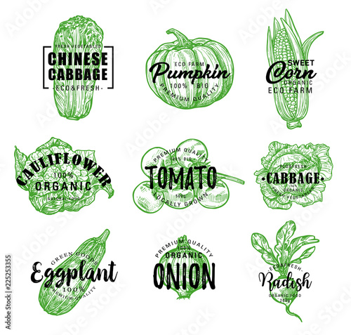 Organic eco farm vegetables vector green lettering