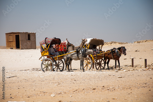 carriage at the dessert