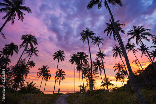 Silhouette of coconut palm tree at sunset on tropical beach