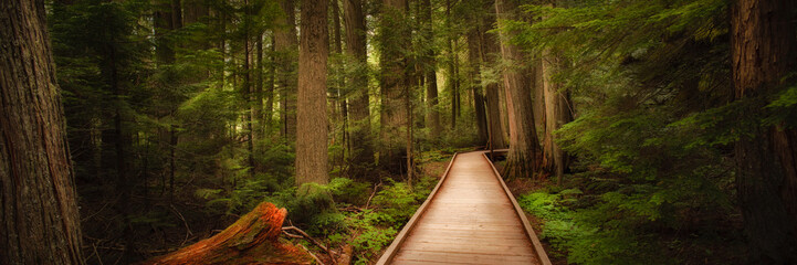 Wandcirkels Bruin Trail of the Cedars Glacier Park  © Tom Nevesely