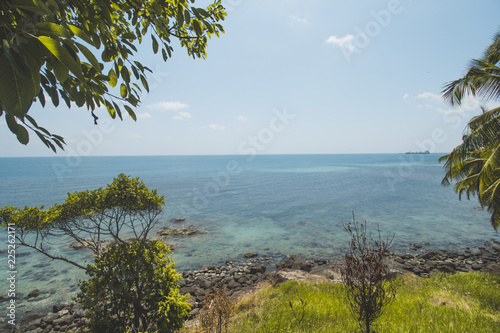 Tropical Tree  Granite Rock  Clear Sea Water and Tropical Beach Landscape