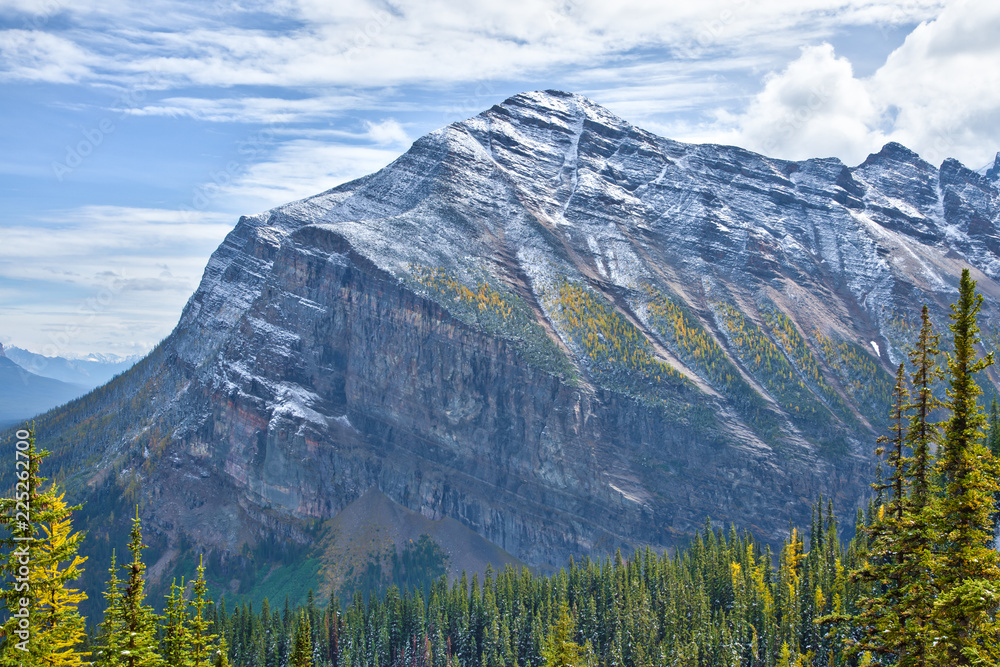 Fototapeta premium Yellow larches in Autumn above Lake Louise in Banff National Park, Alberta, Canada