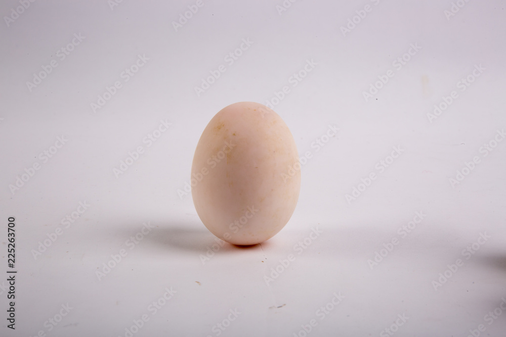 Egg Isolated on White Background Egg Isolated on White Background